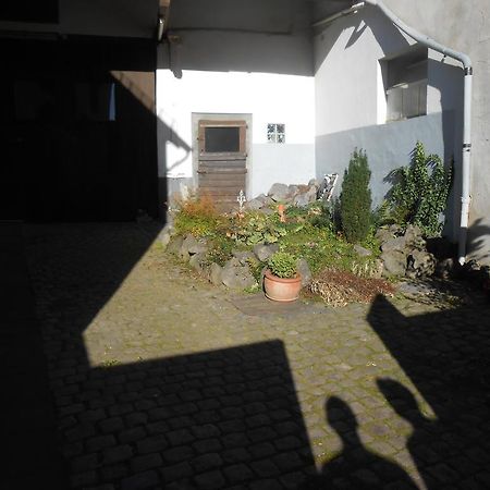 Landhaus Duengenheim Экстерьер фото